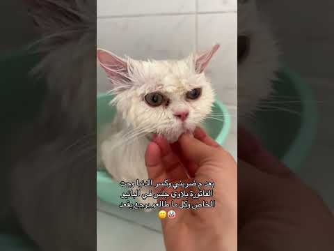 تعو شوفو شكلو بالحمام       