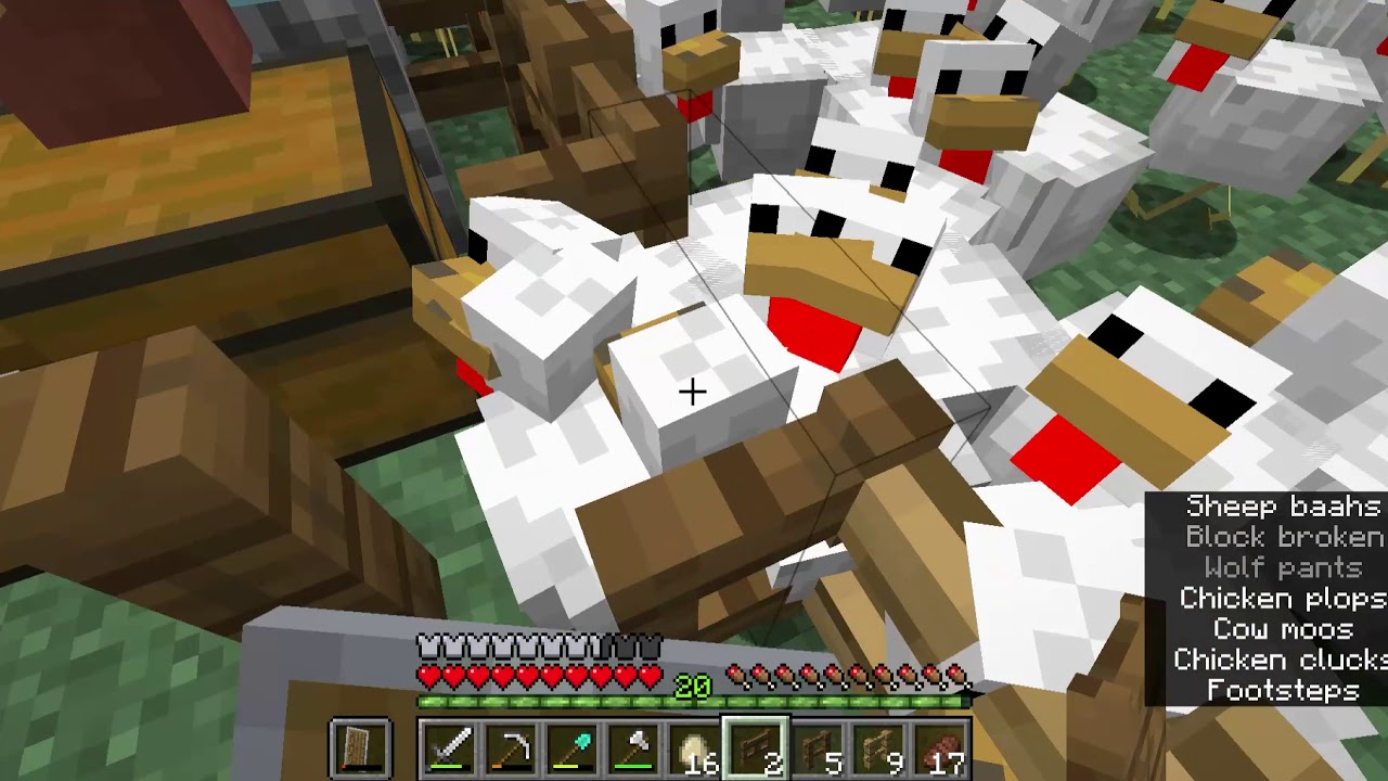 Was Fressen Hühner In Minecraft