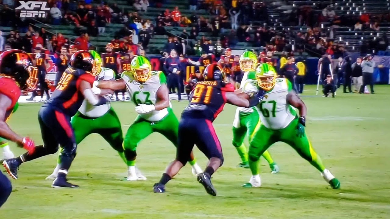 The la Wildcats beat the Tampa bay vipers 41 to 34!! - YouTube