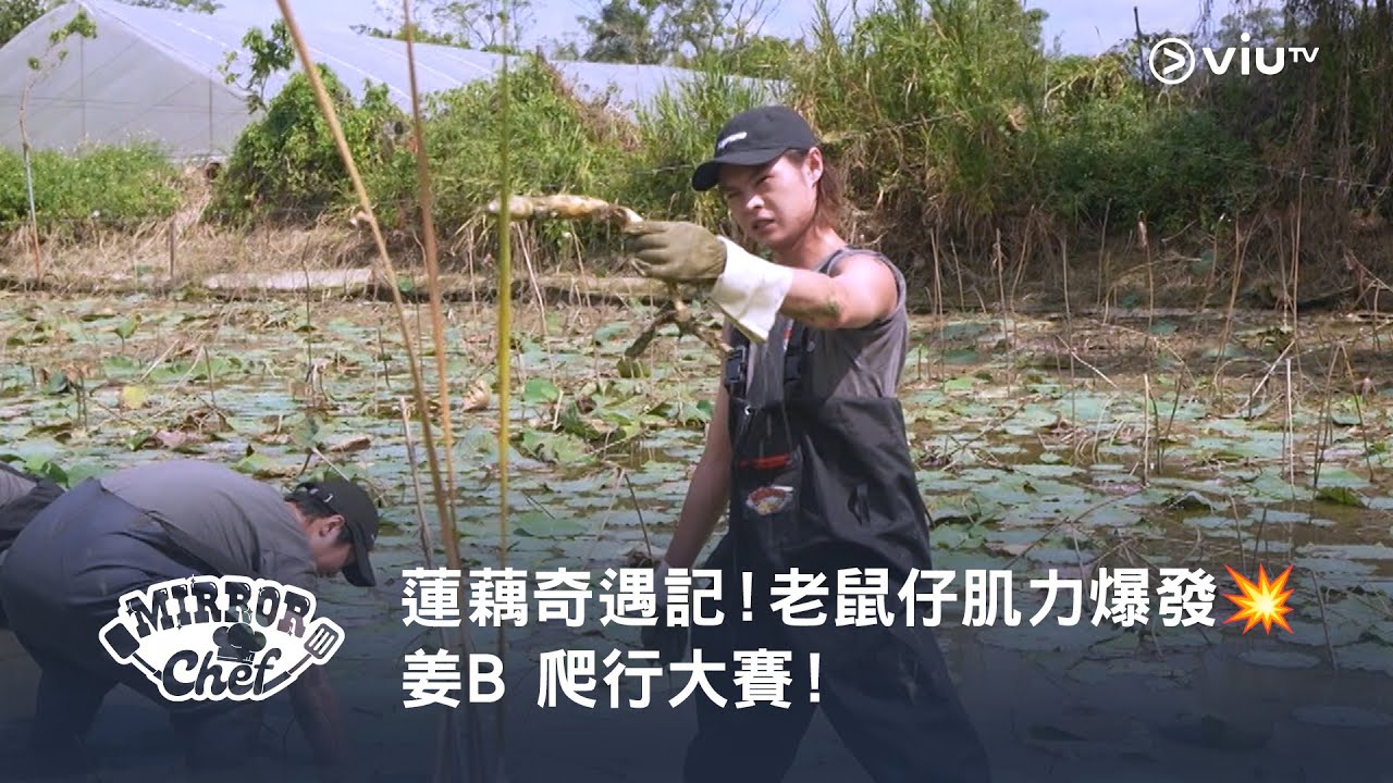《MIRROR Chef》蓮藕奇遇記！老鼠仔肌力爆發💥 姜B 爬行大賽！