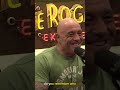 How Rogan Got on NewsRadio After Ray Romano Fired