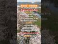 Worship Beyond Words--Singing praises to God 無言的詩 [高歌讚頌神]-Instrumental music #純音樂#純音樂詩歌 #詩歌音樂 2