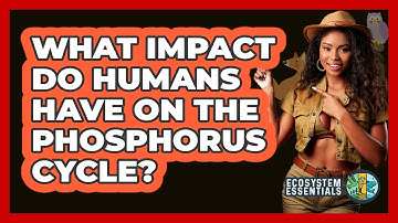 What Impact Do Humans Have On The Phosphorus Cycle? - Ecosystem Essentials