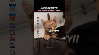 Ranking Cats Saying Mama Core!😹❤ #cat