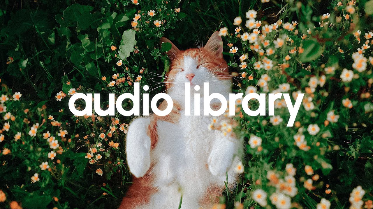 洋楽 TIDY MUSIC LIBRARY COLLECTION Amazon.co.jp: Tidy Music Library Issue 5: ミュージック