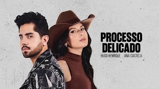 Processo delicado Ana Castela e Hugo Henrique 