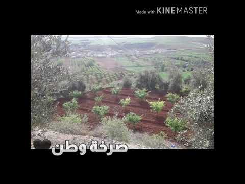 ولو اني حبيت الخلد جنة لاخترت حلفايا من بين الجنان صرخة وطن ي تبع