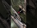 GUB 1351 hub 4 Bearing rolling and sound