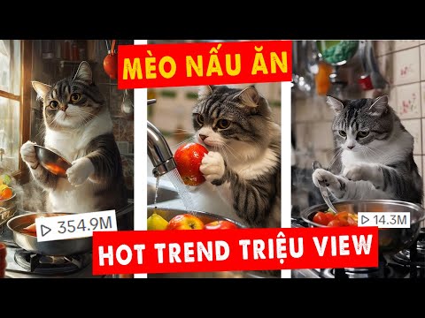 Cách Làm Video