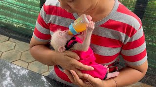 [ Deeeply Sleep ] Lil Lolo Warmly Sleeep On Moms Hand With His Juice Bottle