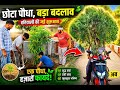 आने वाला कल बचाना है तो आज पेड़ लगाओ