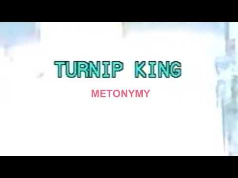 Turnip King — Turnip King - Metonymy (Official Audio)