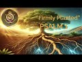 "Firmly Planted | Pastor Christopher Shackelford