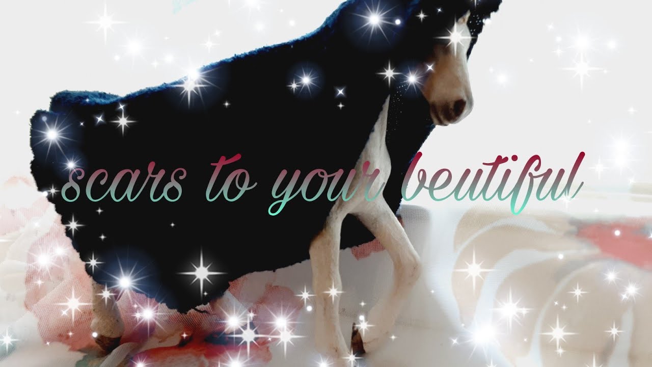 scars to your beutiful 🌟schleich music video