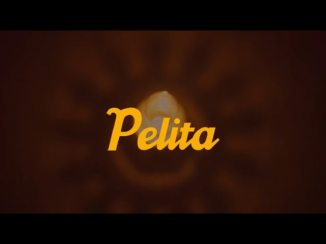 Pelita (Video Musik Resmi/Official Music Video) class=