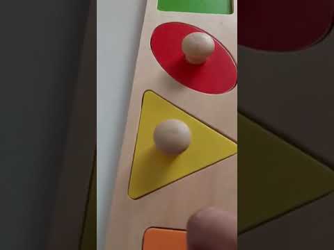 Montessori Wooden Shapes