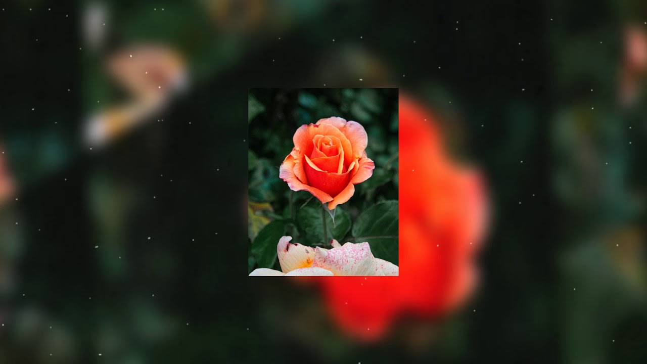 "GROWTH" PHORA x KEHLANI TYPE BEAT