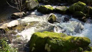 Fervenza do Viñao, Ourense.