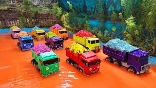 Membersihkan Mobil Truk Tayo Pasir Dan Menemukan Truk Molen, Beko, Loader, Mobil Polisi, Damkar