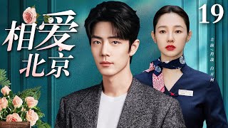 【好看的电视剧】相爱北京 19 大结局 | 肖战、白百何演绎北京爱情故事（肖战 / 白百何 / 杨烁 / 柴碧云）