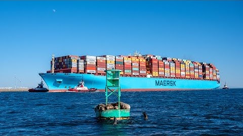 [TOP 10] HÃNG TÀU VẬN TẢI CONTAINER LỚN NHẤT THẾ GIỚI 2023 | HT SHIPPING