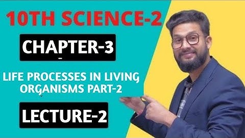 10th Science 2 | Chapter 3 | Life Processes in Living Organisms Part-2 | Lecture 2 | JR Tutorials |