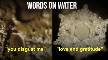 Scientists Are Speechless! The power of intention