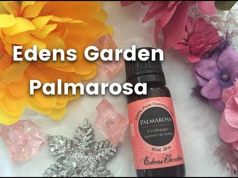Palmarosa Essential Oil Review Edens Garden Youtube