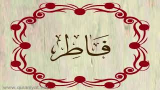 أحمد نعينع - سورة فاطر