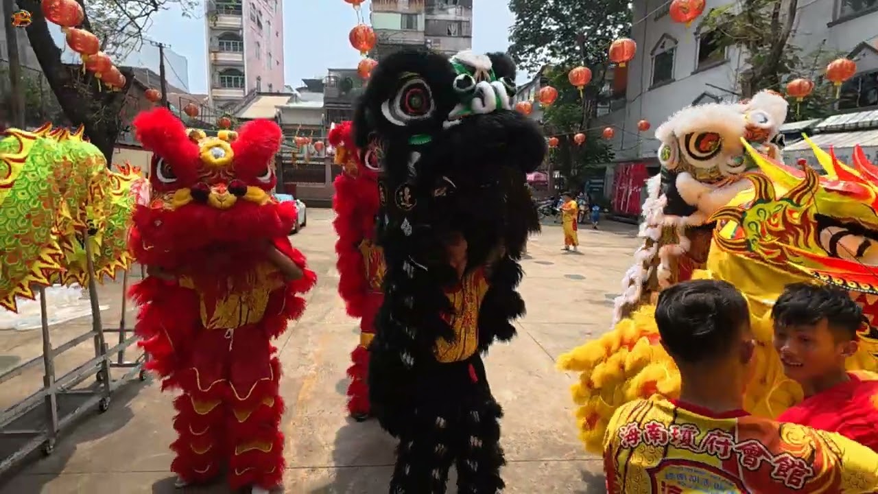 舞狮2026年 福海龙狮团拜海南天后仪式