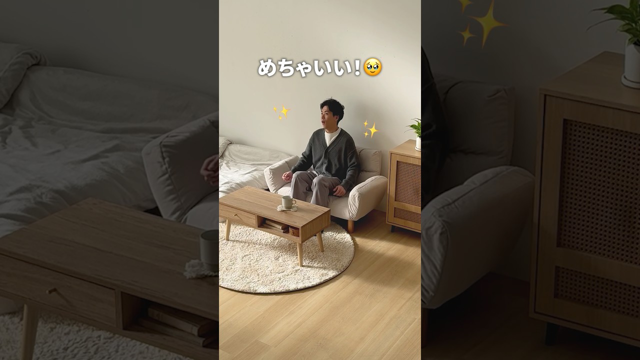 40%OFF対象！ [本体幅105cm・傷に強いペット対応生地] リクライニング