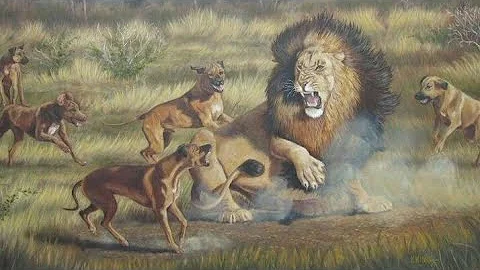 ¿Cuál es el perro cazador de leones?