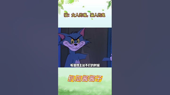 小猫：女人的嘴，骗人的鬼 #万万没想到 #小猫咪三分迷茫七分呆滞 #人间真实系列 #养猫日常