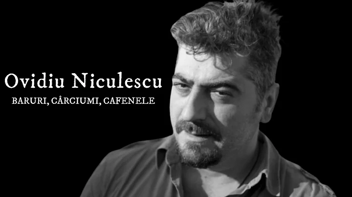 Ovidiu Niculescu Baruri, crciumi, cafenele