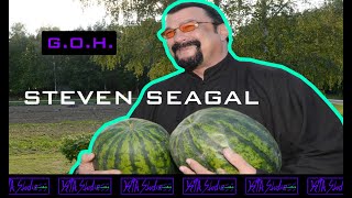 This is our Steven Seagal - G.O.H.