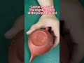 Wilin tools Air engraving pen ,DIY carving of purple clay pot #engraving #diytools #Airengravingpen