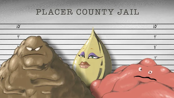 Fats, Oils, and Grease: the usual suspects of sewer clogs