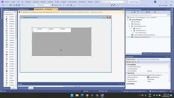 13.Programando Excel desde .NET con VSTO y VS (Control DataGridView vídeo 1)