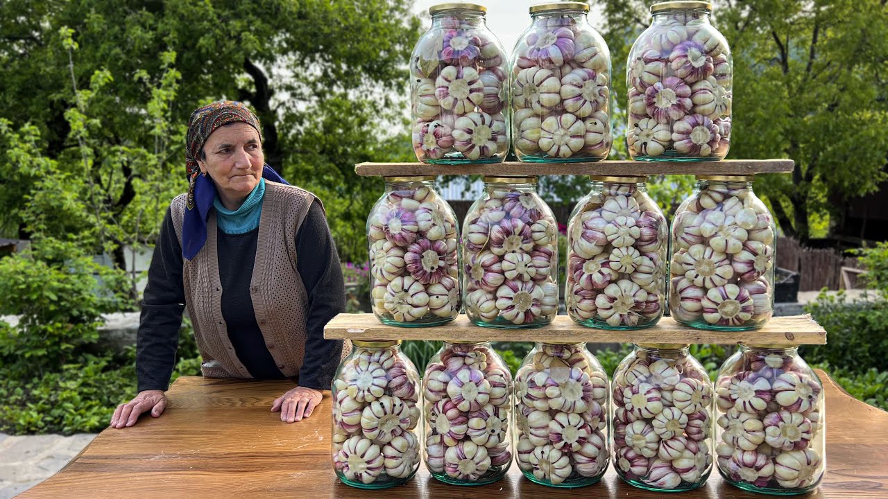 Harvesting Garlic for Preservation! Sunny Summer Day in the Village ...