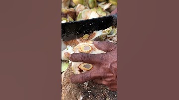 Amazing Palm Fruit Cutting Skills #shorts