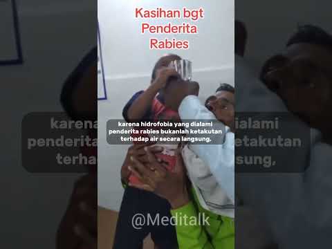 Video: Adakah rusa takut dengan air kencing manusia?