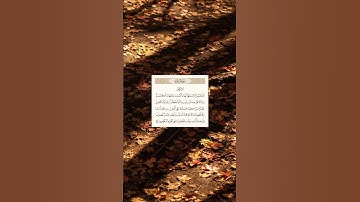 ﴿لَا یُكَلِّفُ ٱللَّهُ نَفۡسًا إِلَّا وُسۡعَهَاۚ﴾ [البقرة ٢٨٦] #سعد_الغامدي #سورة_البقرة