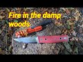 Fire in a broadleaf woods minimum toolsl