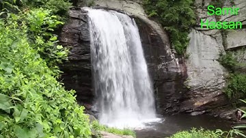 محمد حسن عليان وما تيسر من سورة الأنعام