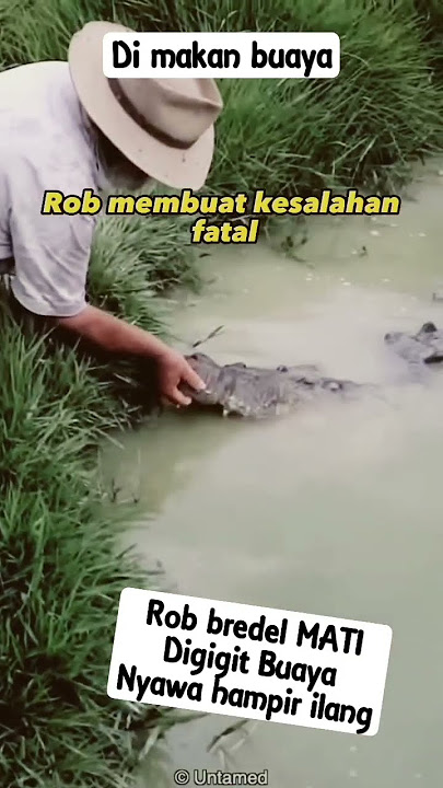 Rob bredel hampir sal