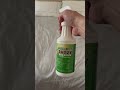 Winning the Bed Bug Battle – A Real Home Story