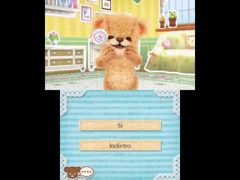 3DS TeddyTogether Online Question YourName IT - 3DS TeddyTogether Online Question YourName IT