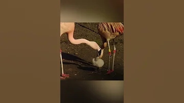 Всё не так уж и страшно​