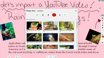 myViewBoard Whiteboard: Importing YouTube Videos