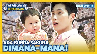 [IND/ENG] Ngedate liat bunga sakura sama Ayah!!🌸 | The Return of Superman | KBS WORLD TV 230514